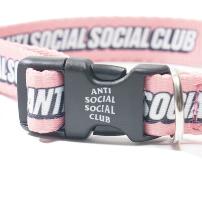 反社會社俱樂部 VVS 狗項圈 Lookbook 反社會社俱樂部 VVS 狗項圈