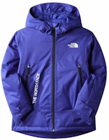 The North Face Freedom Insulated Jacket 'Purple' (GS) (Asia Size) The North Face Freedom Insulated Jacket 'Purple' (GS) (Asia Size)