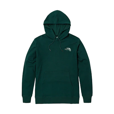 TNF Branding Logo Hoodie 'Teal' (Asia Size)