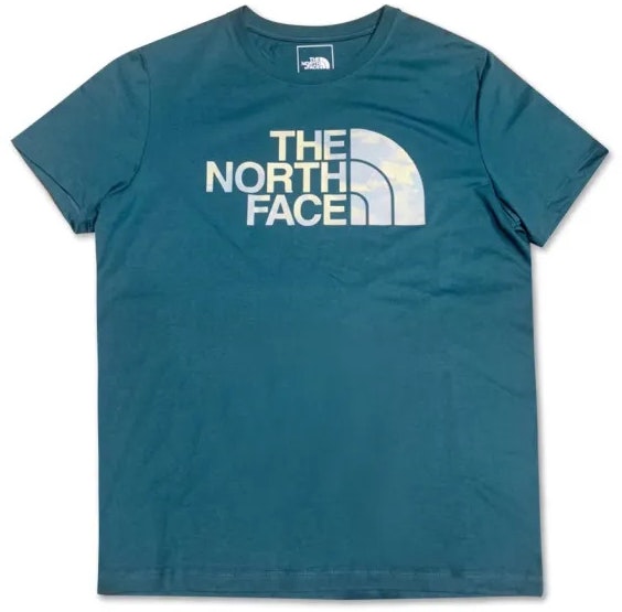 the-north-face-foundation-graphic-s-s-blue-wmns-asia-size