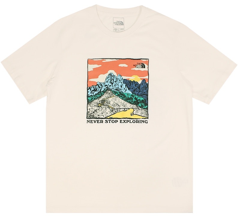 the-north-face-s-s-places-we-love-tee-brown-asia-size