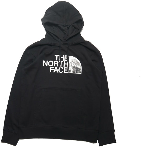 the-north-face-novelty-half-dome-hoodie-black-asia-size