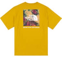 The North Face S/S Box Nse Tee 'Yellow' (Asia Size) The North Face S/S Box Nse Tee 'Yellow' (Asia Size)