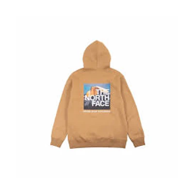 TNF Photograph Hoodie (Asia Size)