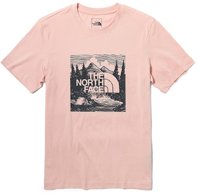 The North Face MFO Celebration Logo Tee 'Pink' (Asia Size) Buy The North Face MFO Celebration Logo Tee 'Pink' (Asia Size)