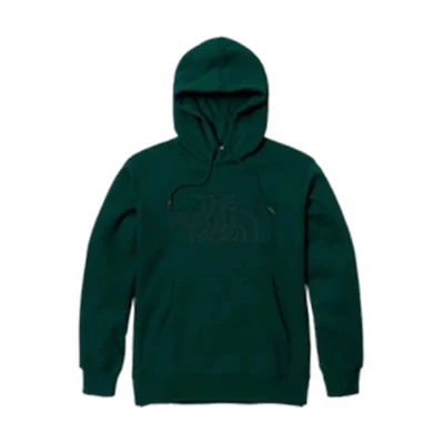 TNF EBD 3D Logo Hoodie (Asia Size)