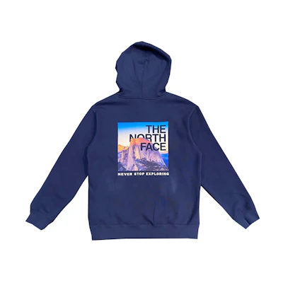 TNF Photograph Hoodie (Asia Size)
