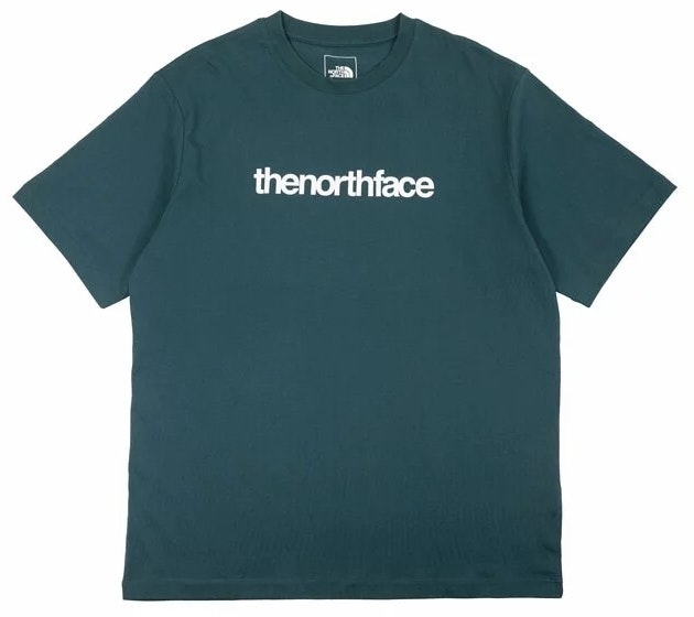 the-north-face-s-s-branding-graphic-tee-blue-asia-size