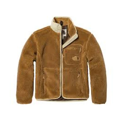 TNF Extreme Pile FZ Jacket (W) (Asia Size)