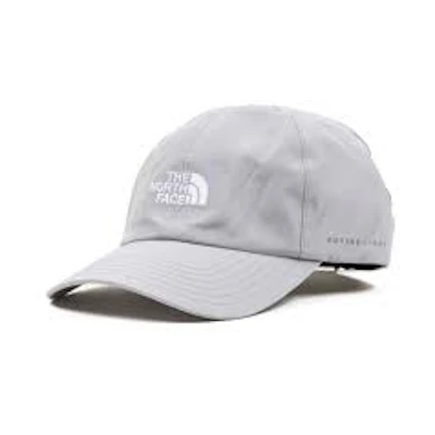 TNF Logo Futurelight Hat 'Purple'