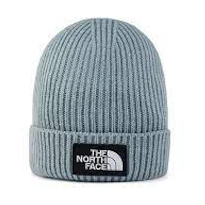 TNF Logo Box Cuffed Beanie 'Blue'