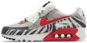 Lookbook 耐吉 Air Max 90 '野性本能' DZ4839-001
