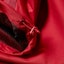 Details for Stüssy Alpine Pullover Jacket Red