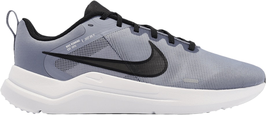 Nike Downshifter 12 Ashen Slate DD9293 401 DD9293 401 Novelship