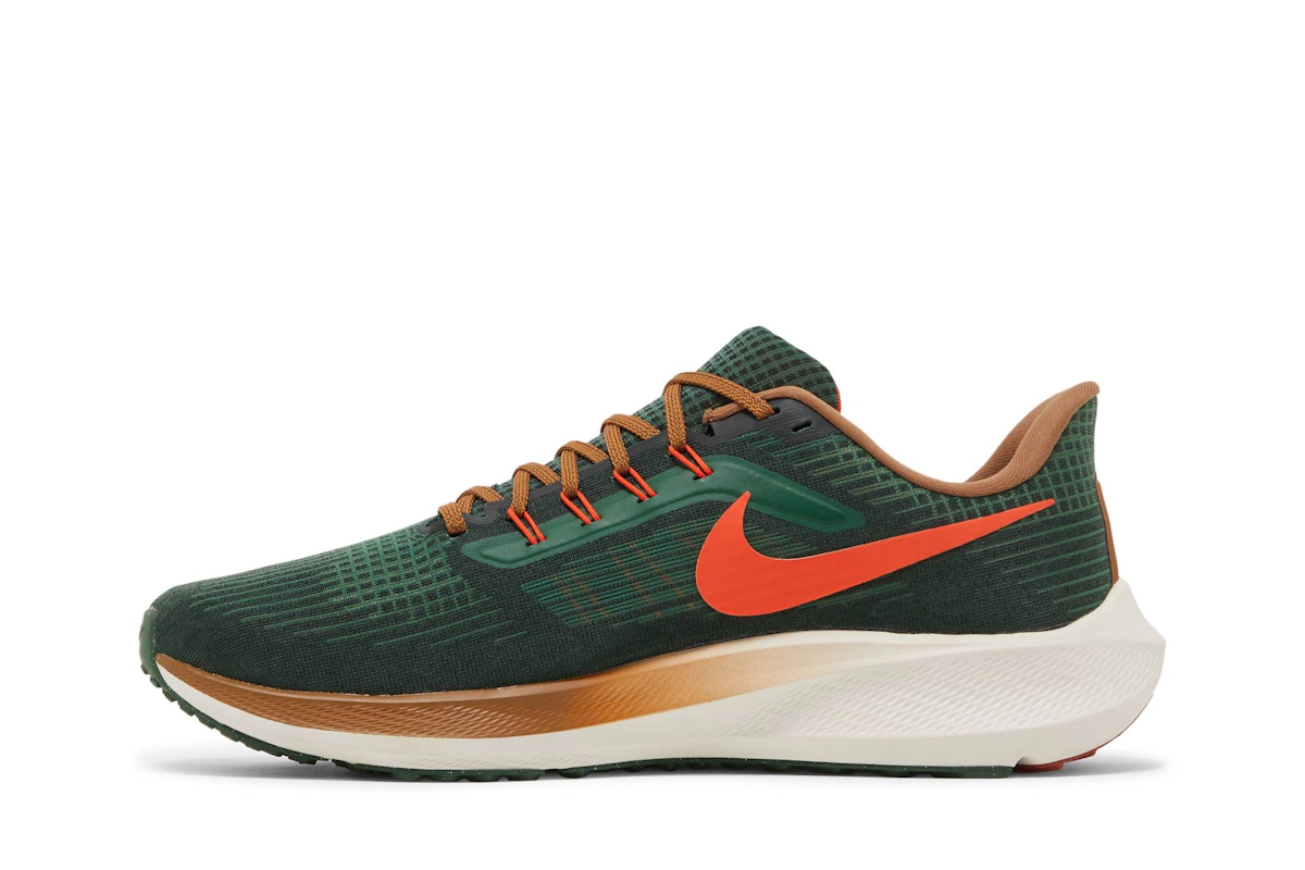 Hola Lou x Nike Air Zoom Pegasus 39 A.I.R. 'Gorge Green/Yell Brown' DO9500-300
