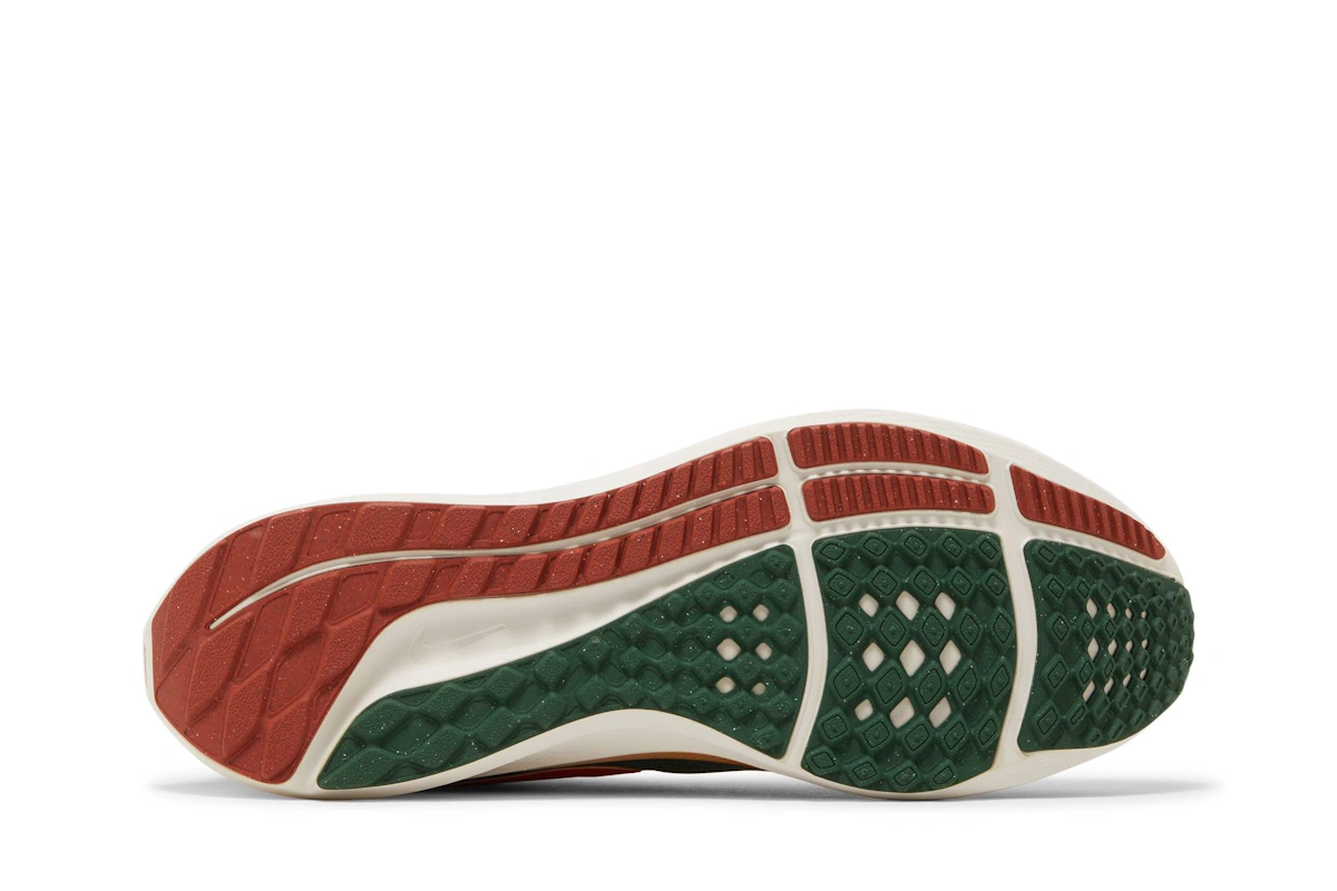 Hola Lou x Nike Air Zoom Pegasus 39 A.I.R. 'Gorge Green/Yell Brown' DO9500-300