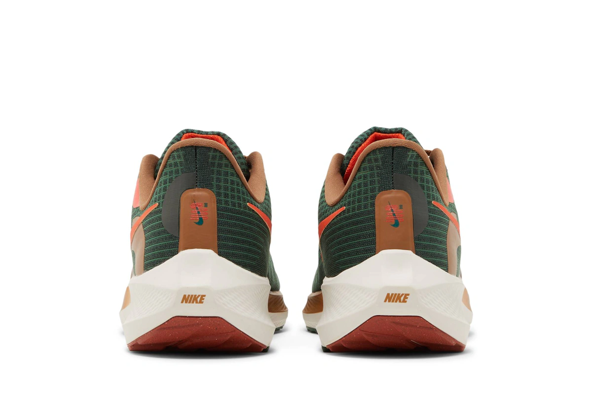 Hola Lou x Nike Air Zoom Pegasus 39 A.I.R. 'Gorge Green/Yell Brown' DO9500-300