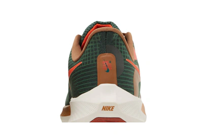 Hola Lou x Nike Air Zoom Pegasus 39 A.I.R. 'Gorge Green/Yell Brown' DO9500-300