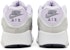 (Kanak-Kanak) Nike Air Max 90 LTR 'Putih/Ungu Frost/Platinum/Perak Metalik' CD6864-123