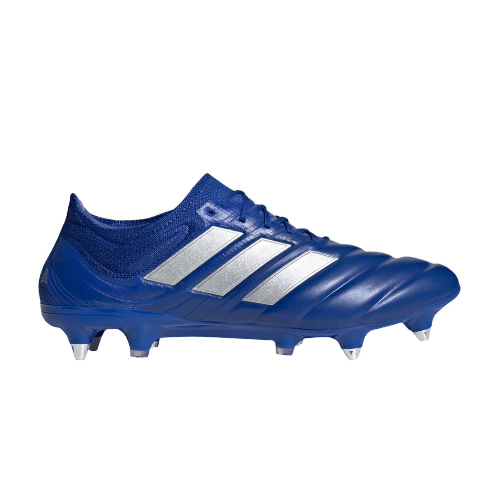 ポイントキャンペーン中 アディダス コパ 20.1 SG | www.birbapet.it