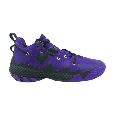 adidas Harden Vol. 6 'Team College Purple'