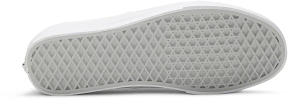 Shop Vans Authentic Pro ''Blanc Véritable'' VN000Q0DQLZ