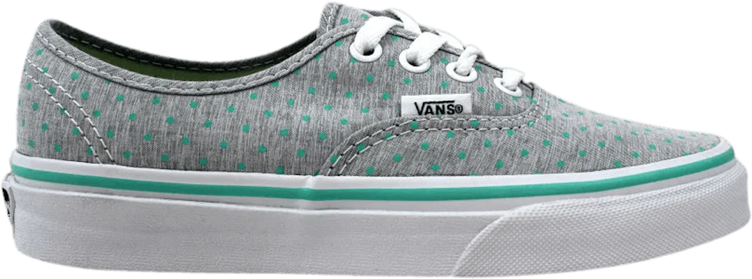Chambray authentic best sale vans
