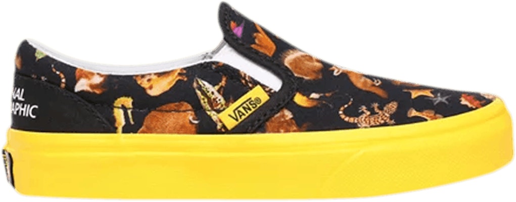 Slip on vans grade 2025 school