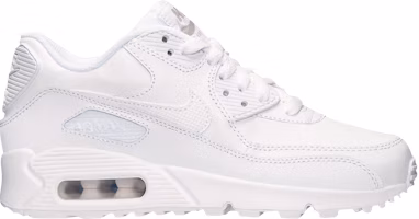 (Grade School) Nike Air Max 90 'White Wolf Grey' 307793-167