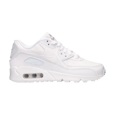 (GS) Nike Air Max 90 'White Wolf Grey'
