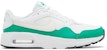 Nike Air Max SC 'Putih Stadium Hijau' CW4555-110