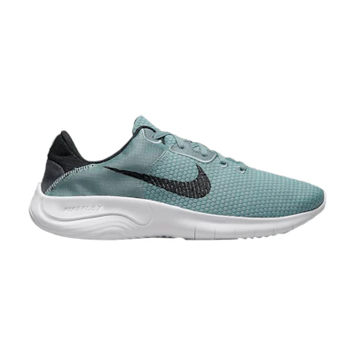 Nike Flex Experience Run 11 Next Nature 'Aviator Grey'