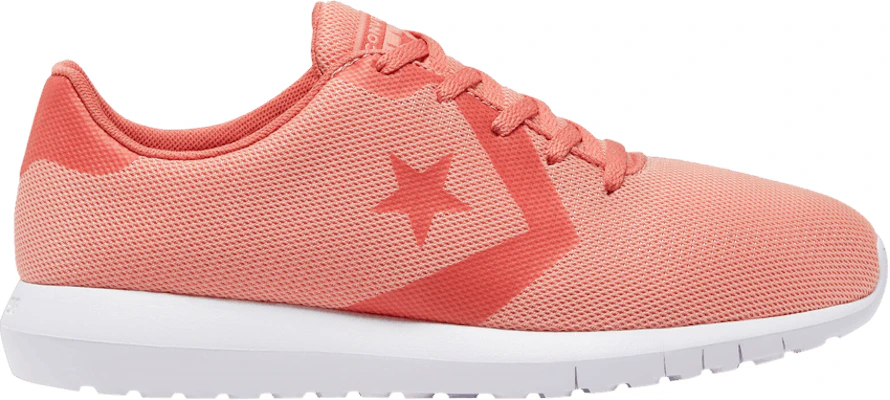 Auckland converse top