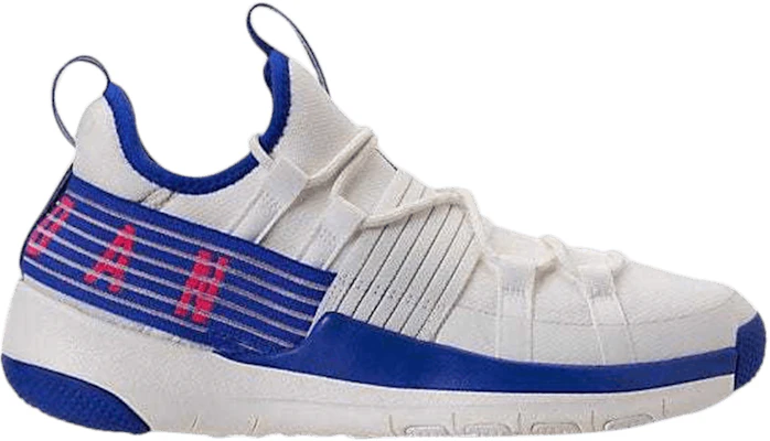 Air Jordan Trainer Pro Sail Racer Blue AA1344 106 AA1344 106