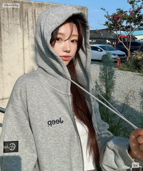 Shop 2WAY Oversized Small Jeep Hoodie Zip-Up JR5TZU051MG