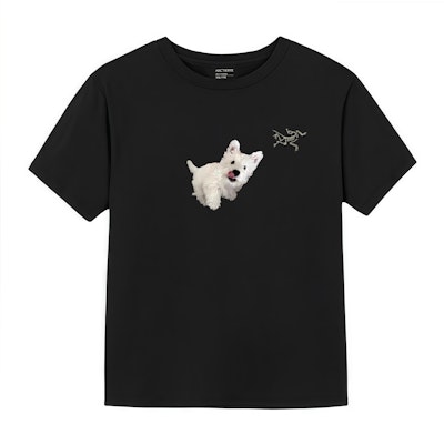 【Custom Apparel】Arcteryx Loose Fit Logo Print Unisex Black Crew Neck T-Shirt X000009533(Group1172-) Buy 【Custom Apparel】Arcteryx Loose Fit Logo Print Unisex Black Crew Neck T-Shirt X000009533(Group1172-)