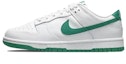 Sizing (W) 【カスタムシューズ】(女性用) ナイキダンクロー 'グラフィティフライスマイル' DD1503-112(TeamB-女款热成像白绿)