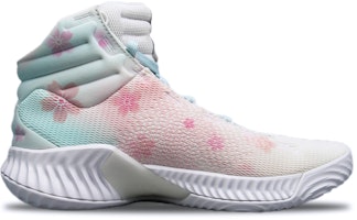 カスタム プロバウンス 2018 “桜吹雪キャンディフロス” FW0902(Team19-男款喷绘樱花) Order カスタム プロバウンス 2018 “桜吹雪キャンディフロス” FW0902(Team19-男款喷绘樱花)