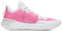 Order 리닝 웨이드3 V2 '화이트 핑크' (커스텀 슈즈) ABAT057-3(Team67-乳腺癌利刃3)