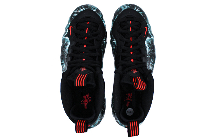 Shop [定制鞋款] Nike Air Foamposite One '黑白羽毛' 314996-014(Team2-黑白羽毛喷)