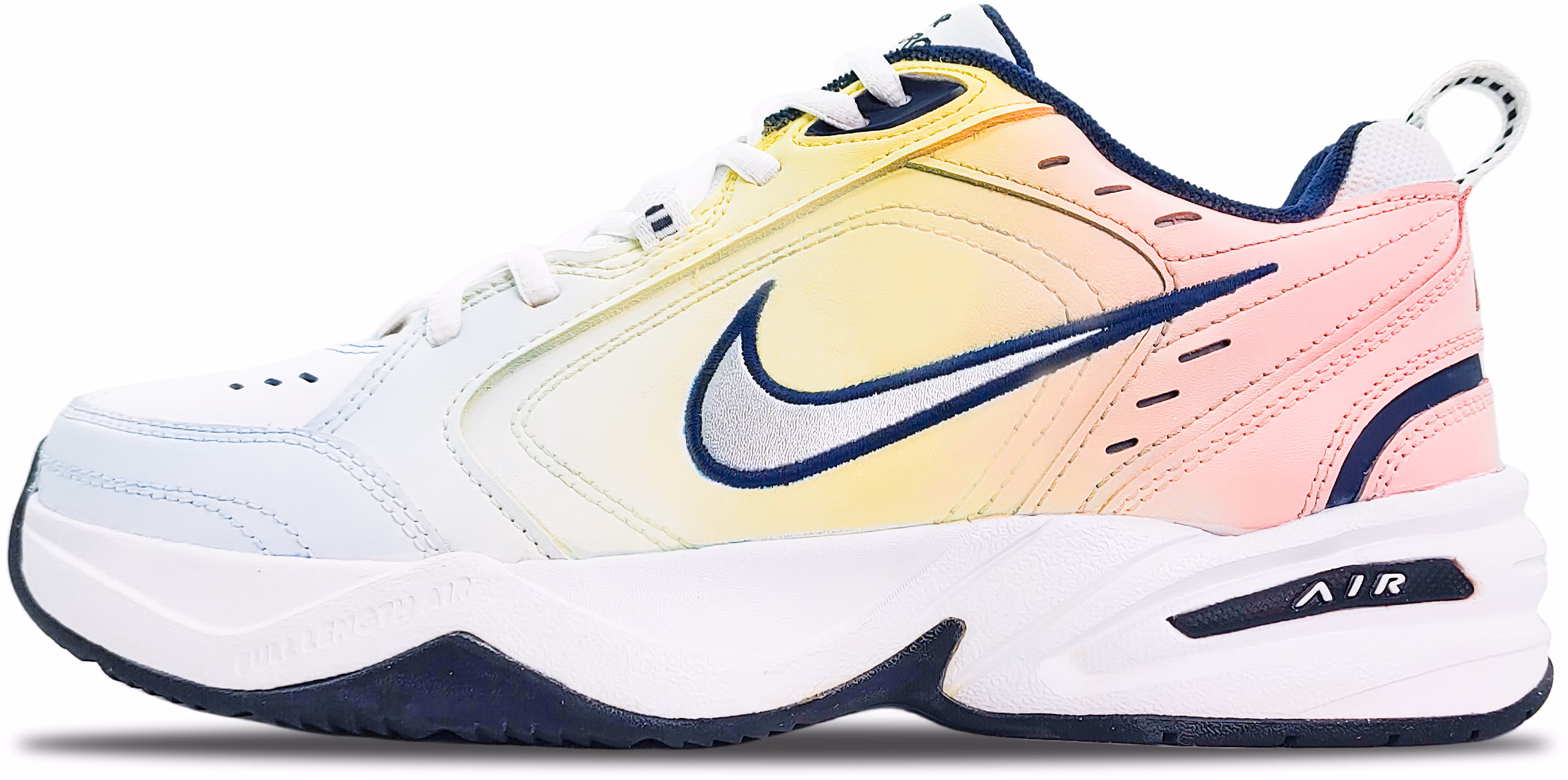 custom-shoes-nike-air-monarch-4-blue-white-415445-102-team188