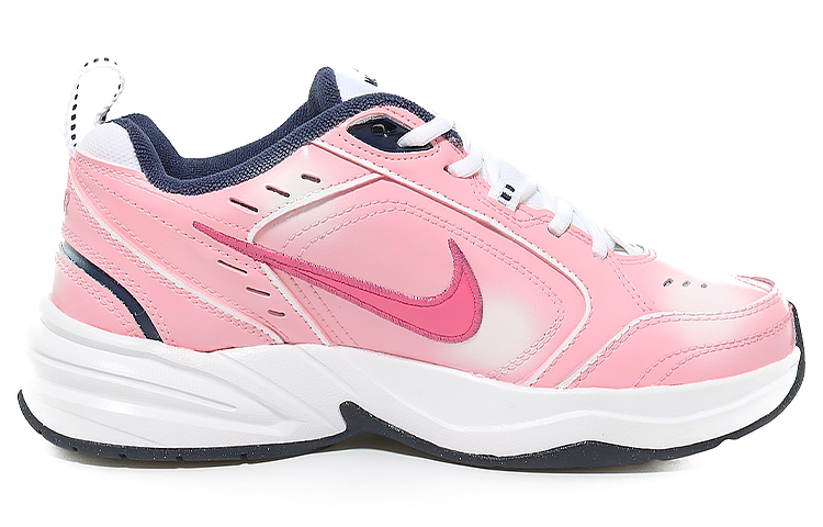 [Custom Shoes] Nike Air Monarch 4 'Blue White' 圖 2