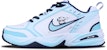 나이키 에어 모나크 IV "블루 화이트" (커스텀) 415445-102(Team244-听歌小狗)