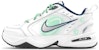 나이키 에어 모나크 IV "밀레니엄 맘보 - 스프링 메시지" (화이트/그린) 415445-102(Team116-M4千禧曼波)