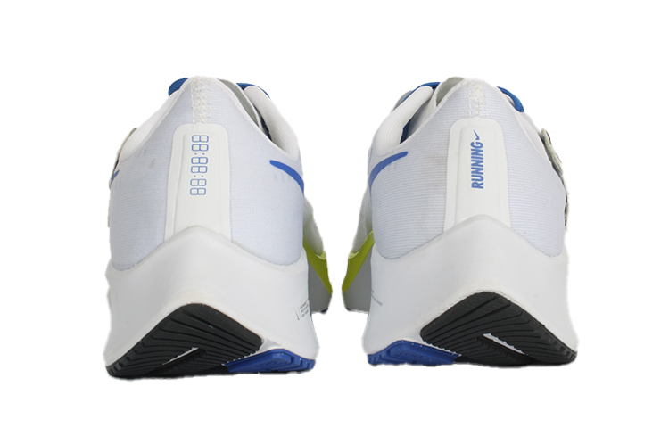 Details for 나이키 에어 줌 페가수스 39 '늘보 팬더' DX1627-100(Team10-慵懒小熊猫)