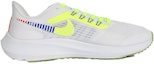 Lookbook 【訂製球鞋】 Nike Air Zoom Pegasus 39 陽光小菊花 燦爛小蜜蜂減震防滑 低筒 休閒跑步鞋 男款 白色