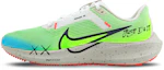 Buy 定制鞋款 Nike Air Zoom Pegasus 40 '青苹果' DV3853-100(Team162-男款苹果绿)