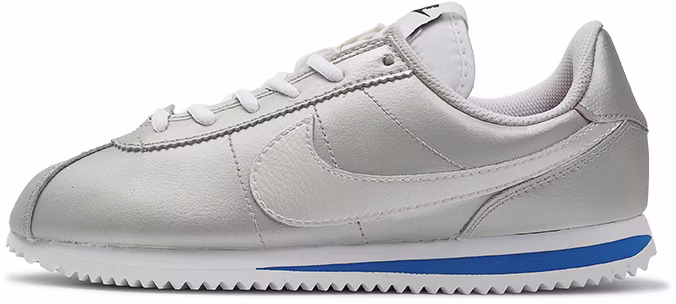 custom-shoes-nike-cortez-basic-sl-silver-berries