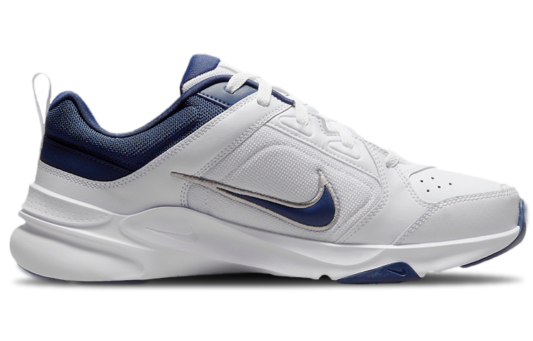 Lookbook Nike デファイ オールデイ "蒼白山脈" (カスタム) DJ1196-100(Team181-淼淼青山)