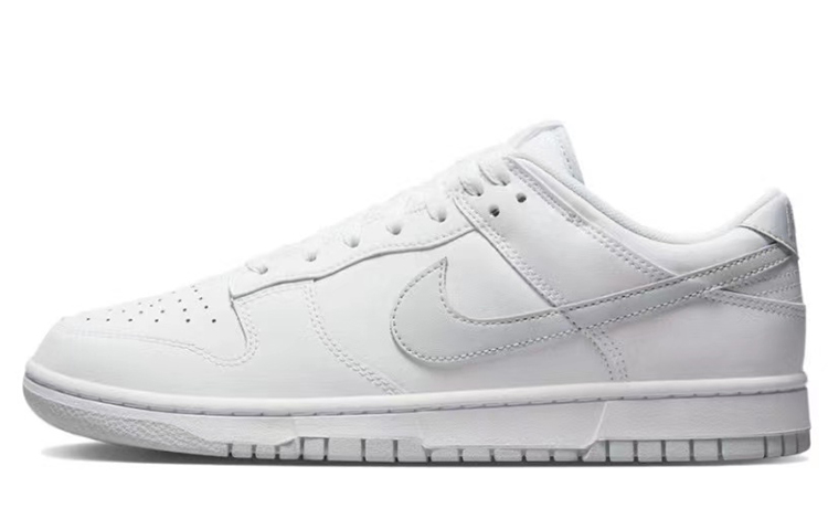 Details for [定制鞋] Nike Dunk Low '极地灰白' DV0831-101(TeamK-北极)